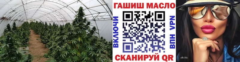 Дистиллят ТГК Wax  Похвистнево 