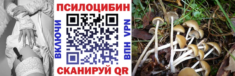 Псилоцибиновые грибы Psilocybe  наркошоп  Похвистнево 