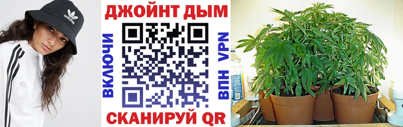 Бошки Шишки THC 21%  купить наркоту  Похвистнево 